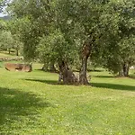 Villa Domus Papi By Great