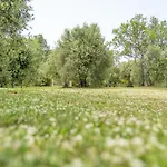 Villa Domus Papi By Great Tuoro sul Trasimeno