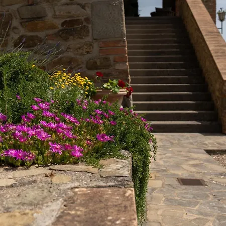 Domus Papi By Great * تورو سول تراسيمينو