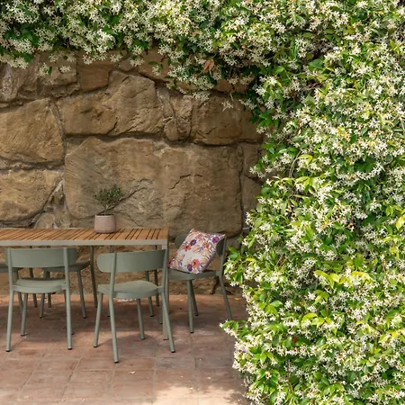 Domus Papi By Great * تورو سول تراسيمينو