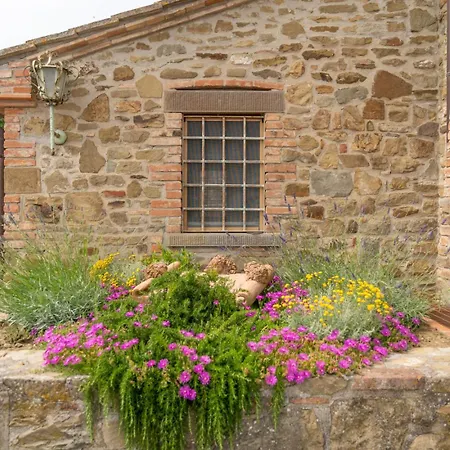 فيلة Domus Papi By Great تورو سول تراسيمينو