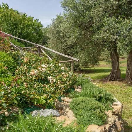 Villa Domus Papi By Great