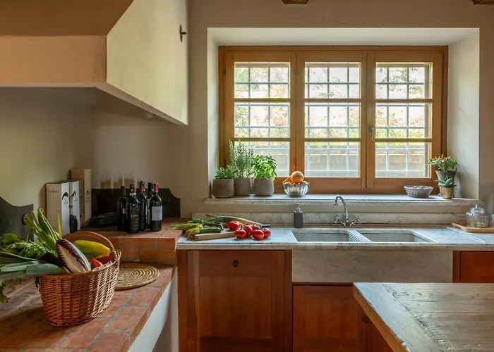 Domus Papi By Great تورو سول تراسيمينو