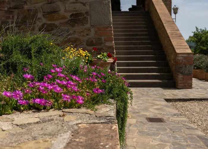 Domus Papi By Great * Tuoro sul Trasimeno