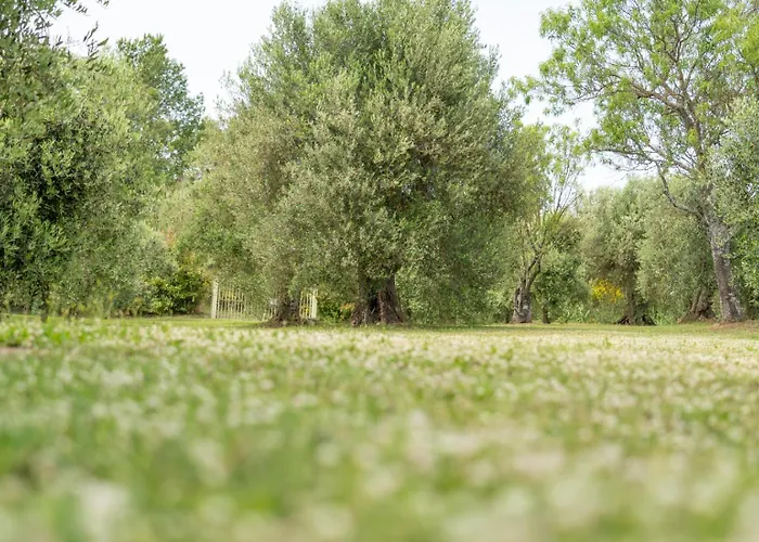 Domus Papi By Great Villa