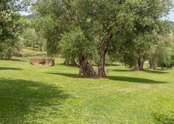 Villa Domus Papi By Great