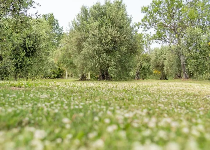 Villa Domus Papi By Great Tuoro sul Trasimeno