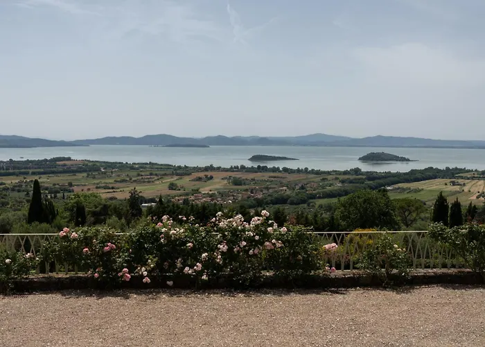 Domus Papi By Great *