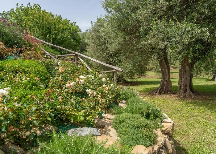 فيلة Domus Papi By Great